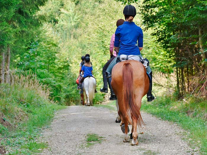 Personas montando a caballo vistos desde atrás